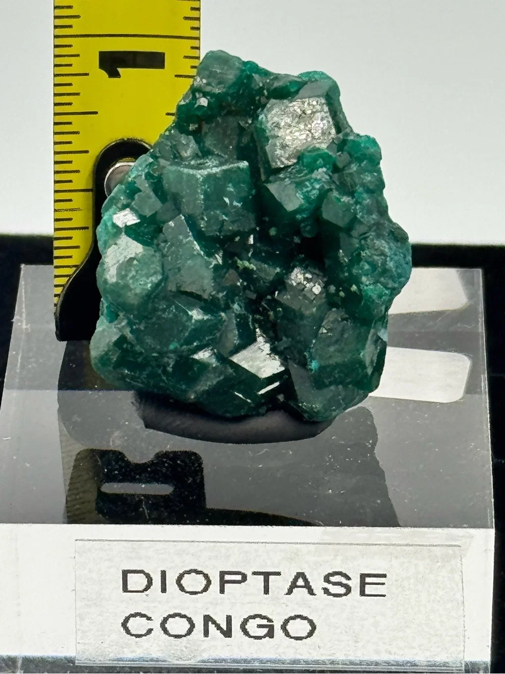 Dioptase Cluster Congo